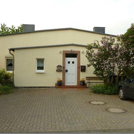 Pension Rosenvilla Sedlitz Εξωτερικό φωτογραφία