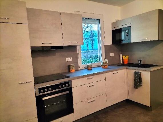 Pension Rosenvilla Sedlitz Εξωτερικό φωτογραφία