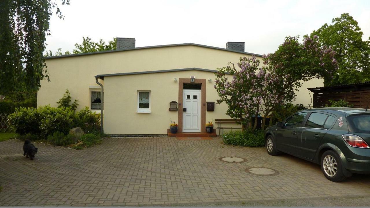 Pension Rosenvilla Sedlitz Εξωτερικό φωτογραφία
